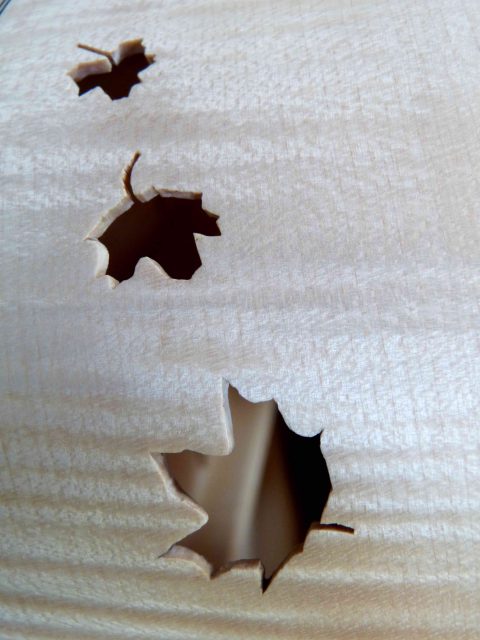 Détail feuilles d'érable sur éclisse Feuilles d'érable sur guitare Natura