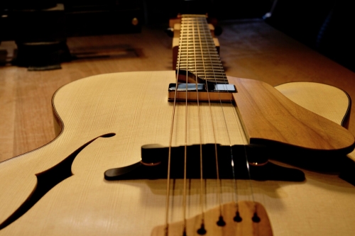 Archtop 17 Otge 7